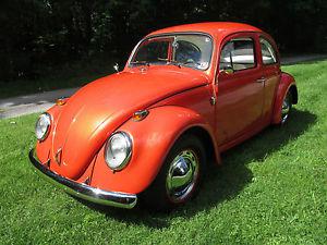  Volkswagen Beetle - Classic Base
