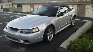  Ford Mustang SVT Cobra Convertible