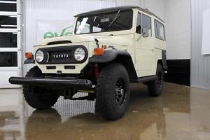  Toyota Land Cruiser --