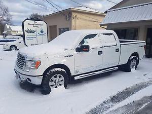  Ford F 150