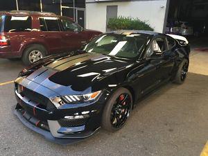 Ford Mustang  Shelby Gt350r Wanted