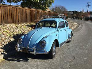  Volkswagen Beetle - Classic Sedan