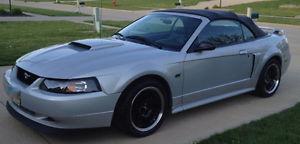  Ford Mustang GT Premium Supercharged