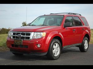 Used  Ford Escape XLT