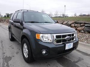 Used  Ford Escape XLT