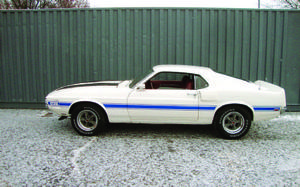  Ford Mustang Shelby GT350 / Wimbledon White