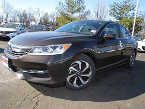 New  Honda Accord EX-L w/Navigation & Honda Sensing