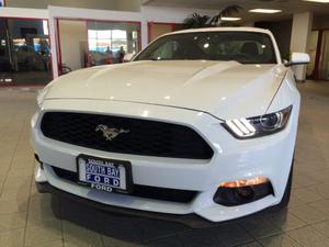 Used  Ford Mustang Fastback