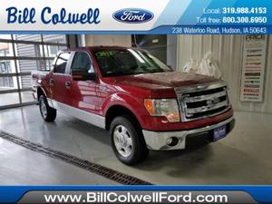 Used  Ford F150 SUPERCREW-145