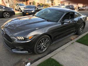 Used  Ford Mustang EcoBoost Premium