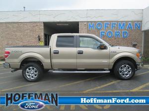 Used  Ford F150 XLT