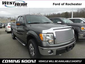 Used  Ford F150 XLT