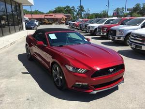 Used  Ford Mustang V6