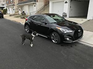  Hyundai Veloster Turbo Hatchback 3-Door