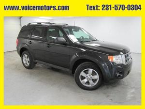 Used  Ford Escape XLT