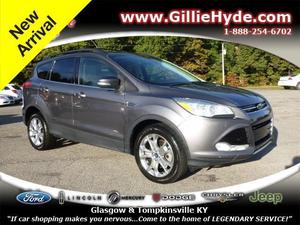 Used  Ford Escape SEL