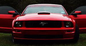  Ford Mustang COUPE