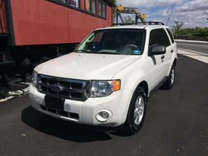 Used  Ford Escape XLT