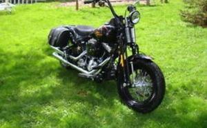  Harley Davidson Flstsb Cross Bones