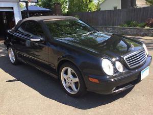  Mercedes-Benz CLK-Class 430