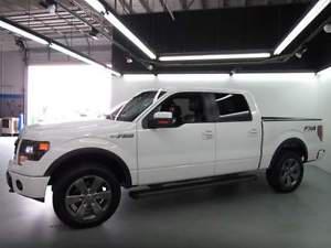  Ford F-150 FX4