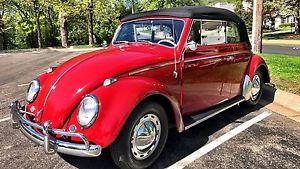  Volkswagen Beetle - Classic Convertible