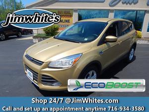  Ford Escape SE in Irving, NY