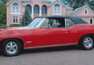  Pontiac GTO --