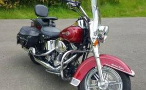  Harley Davidson Fxst Softail Standard