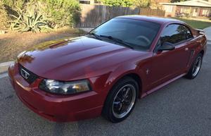 Used  Ford Mustang SVT Cobra