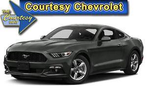  Ford Mustang EcoBoost