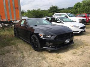  Ford Mustang GT in Canton, NC