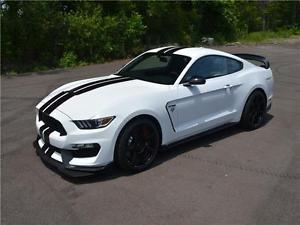  Ford Mustang Shelby GT350-R All accessories and