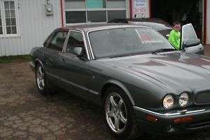 Jaguar: XJR XJR