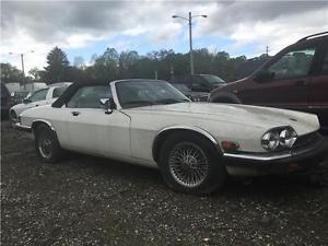  Jaguar XJS --