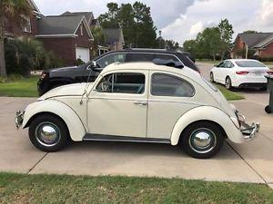 Volkswagen Beetle - Classic sedan