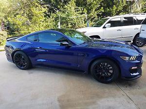  Ford Mustang Gt 350 Track Package