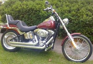  Harley Davidson Fxstc Softail Custom