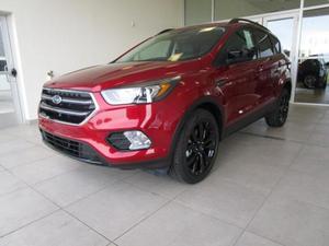  Ford Escape SE For Sale In Marshall | Cars.com
