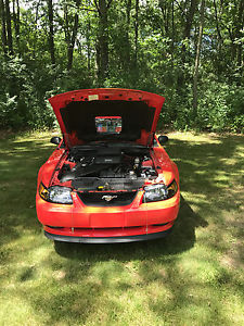  Ford Mustang Roush