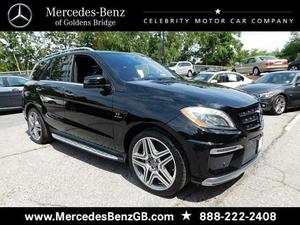  Mercedes-Benz ML 63 AMG 4MATIC For Sale In Goldens