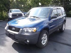  Ford Escape XLT For Sale In Logan | Cars.com