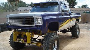  Chevrolet Other Pickups ROLL BAR LIGHTS WINCH 502