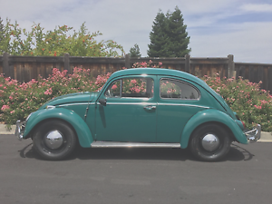  Volkswagen Beetle - Classic