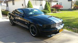  Ford Mustang Shelby GT For Sale In North Tonawanda |