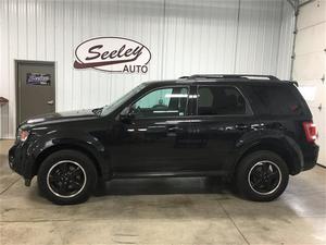  Ford Escape XLT For Sale In St Louis | Cars.com