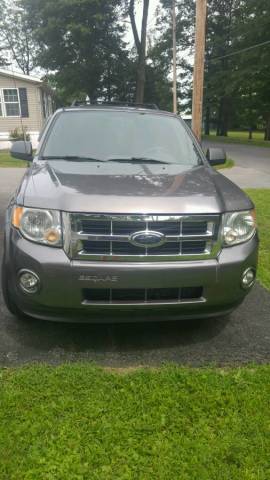  Ford Escape XLT For Sale In Saratoga Springs | Cars.com