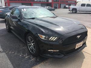  Ford Mustang EcoBoost For Sale In Garden City |