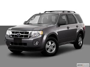  Ford Escape XLT For Sale In Holton | Cars.com