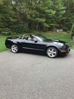  Ford Mustang GT Premium For Sale In Millis | Cars.com